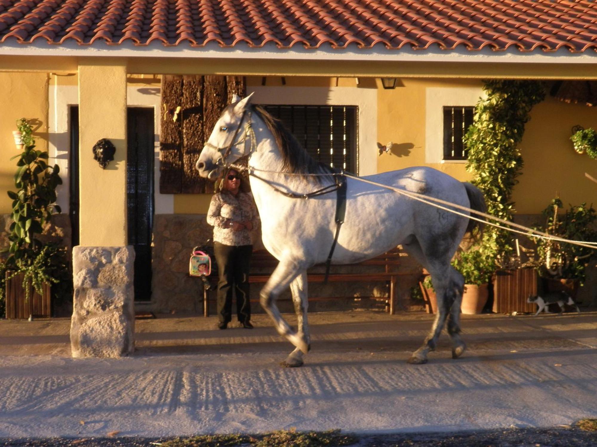 La Posada Hipica Hotel Rosalejo  Eksteriør billede