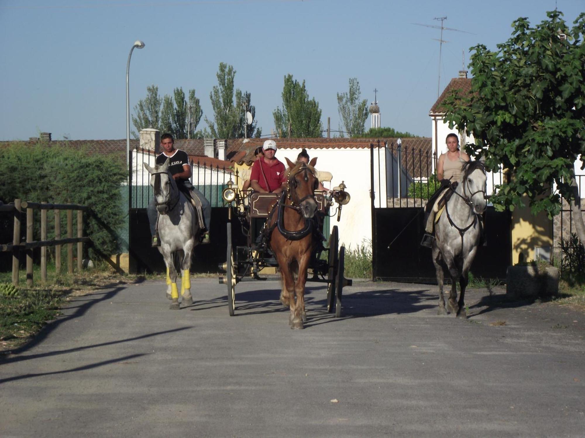 La Posada Hipica Hotel Rosalejo  Eksteriør billede