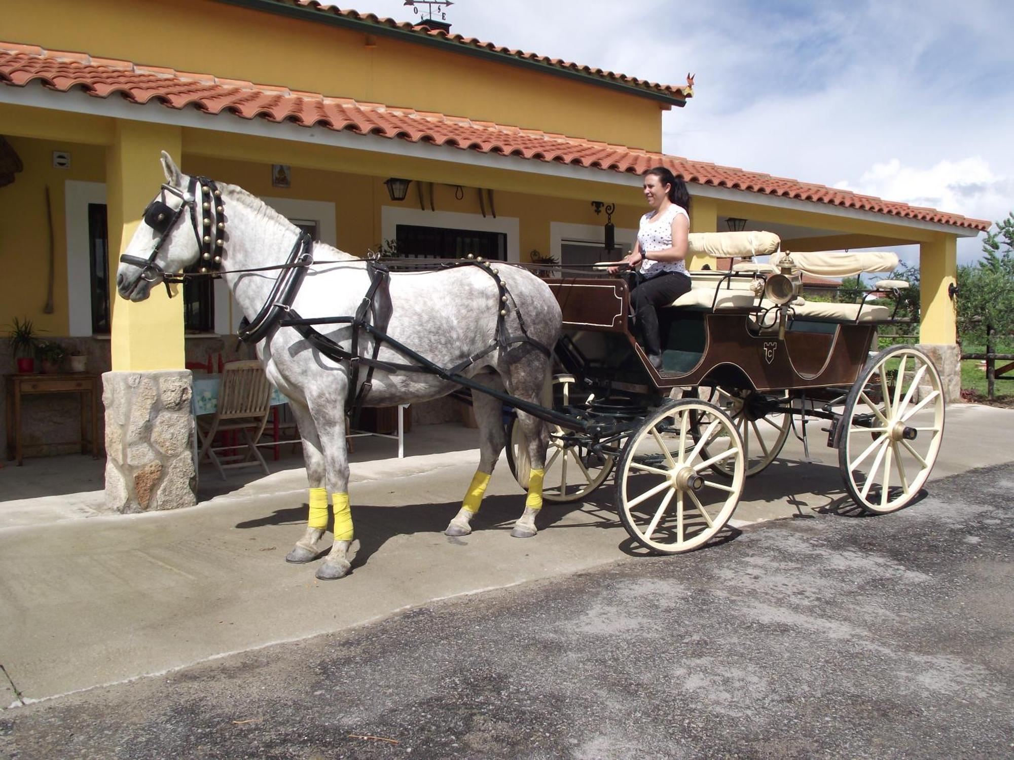 La Posada Hipica Rosalejo  Eksteriør billede
