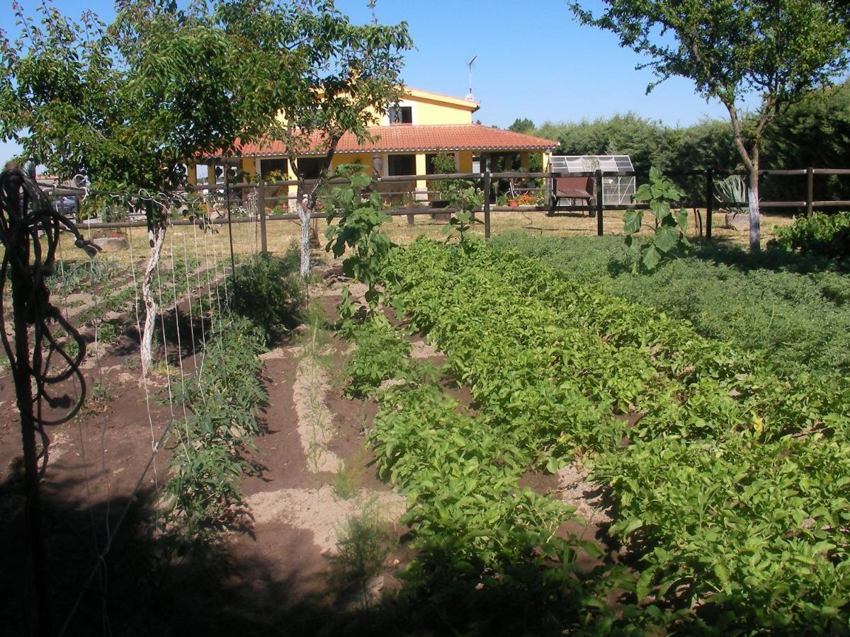La Posada Hipica Rosalejo  Eksteriør billede